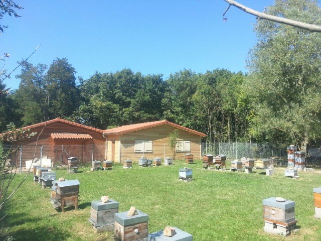 Extension bâtiment d apiculture2